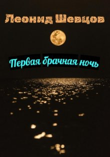 Первая брачная ночь