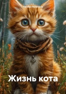 Жизнь кота