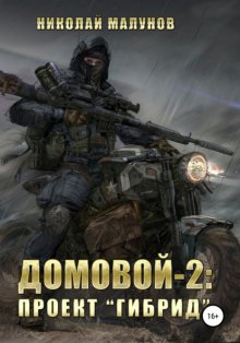 Домовой-2: проект «Гибрид»