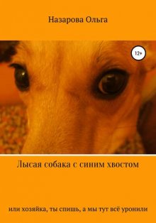 Лысая собака с синим хвостом, или хозяйка, ты спишь, а мы тут всё уронили!