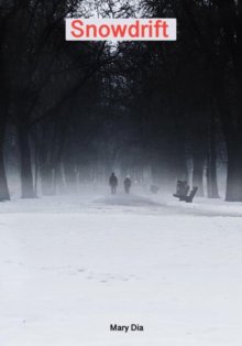 Snowdrift