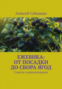 Ежевика: От посадки до сбора ягод. Советы и рекомендации