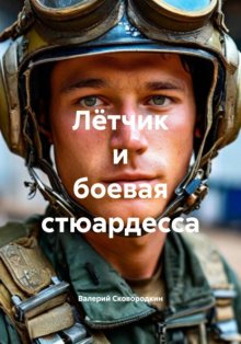 Лётчик и боевая стюардесса