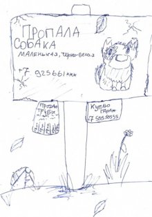 Пропала собака…