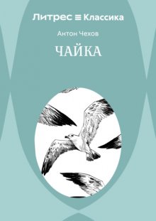 Чайка
