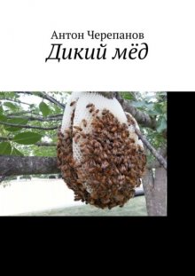 Дикий мёд