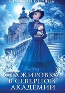 Стажировка в Северной Академии