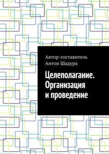 Целеполагание. Организация и проведение