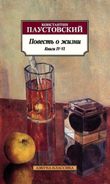 Повесть о жизни. Книги IV–VI