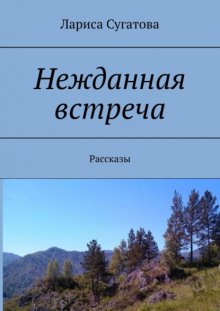 Нежданная встреча. Сборник рассказов