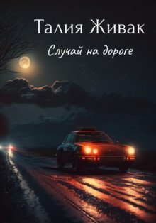 Случай на дороге