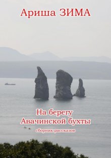 На берегу Авачинской бухты