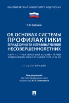 Научно-практический комментарий к Федеральному закону «Об основах системы профилактики безнадзорности и правонарушений несовершеннолетних» (постатейный)