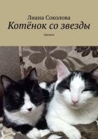 Котёнок со звезды. Орешек