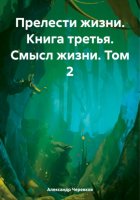 Прелести жизни. Книга третья. Смысл жизни. Том 2