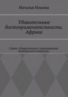 Удивительные достопримечательности. Африка. Серия «Удивительное страноведение. Калейдоскоп вопросов»