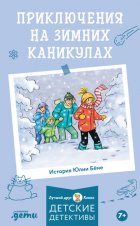 Приключения на зимних каникулах