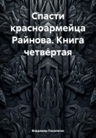 Спасти красноармейца Райнова. Книга четвертая