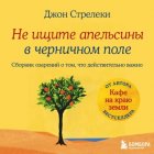 Не ищите апельсины в черничном поле. Сборник озарений о том, что действительно важно