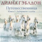 Путешественница. Книга 1. Лабиринты судьбы