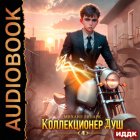 Коллекционер душ. Книга 4