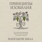 Принципы изобилия. Как правильное мышление помогает достигать целей и исполнять желания