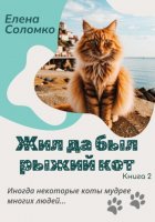 Жил да был рыжий кот