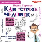 Как устроен человек