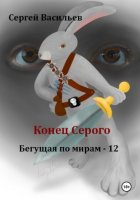 Конец Серого. Бегущая по мирам – 12