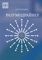 Разумодрайвер