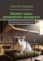 Бизнес-идея: разведение шиншилл. Практическое руководство