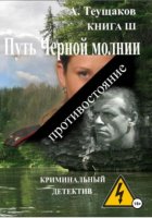 Путь Черной молнии 3