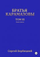 Братья Карамазовы 3 том 3 Книга