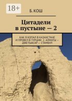 Цитадели в пустыне – 2. Как я копал в Казахстане и провел в Турции. 2. Алматы – Джетыасар – Стамбул