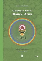 Симфония жизни. Факел Агни. Книга четвертая. Круг второй