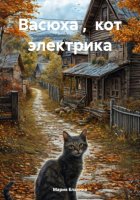 Васюха , кот электрика