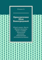 Приключения Лёли Виноградовой. Юный сыщик. Квест. Мелкие шалости. Лето в ноябре. Фамильная реликвия. Подгоняемая обстоятельствами