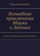 Волшебные приключения Мишки и Зайчика. Книга 4: Приключения в мире гигантов