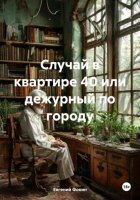 Случай в квартире 40 или дежурный по городу