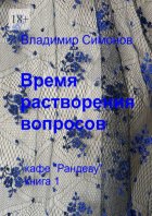 Время растворения вопросов. Кафе «Рандеву». Книга 1