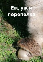 Еж, уж и перепелка