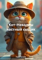 Кот-Неваляш частный сыщик