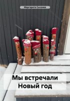 Мы встречали Новый год