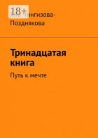 Тринадцатая книга. Путь к мечте