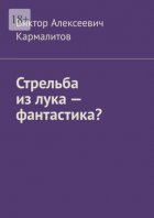 Стрельба из лука – фантастика?