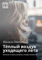 Тёплый воздух уходящего лета. Рассказы о словах и встречах, которые меняют всё