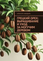 Грецкий орех: выращивание и уход за могучим деревом