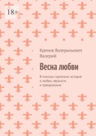 Весна любви. В поисках гармонии: история о любви, верности и преодолении