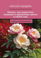 Пионы: как вырастить пышные и ароматные цветы в своём саду. Советы и рекомендации