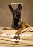 Малинуа в моей семье